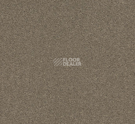 Ковровая плитка Interface Heuga 725 672506 Copra фото 1 | FLOORDEALER